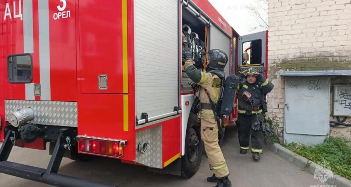 В Орле дерево упало на жилой дом — спасатели распилили его и убрали краном