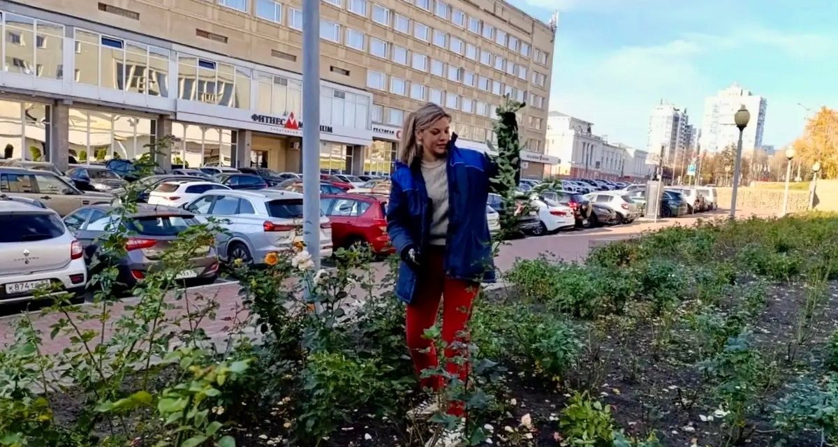Женская бригада сажает 75 тысяч тюльпанов на улице Ленина в Орле к весне