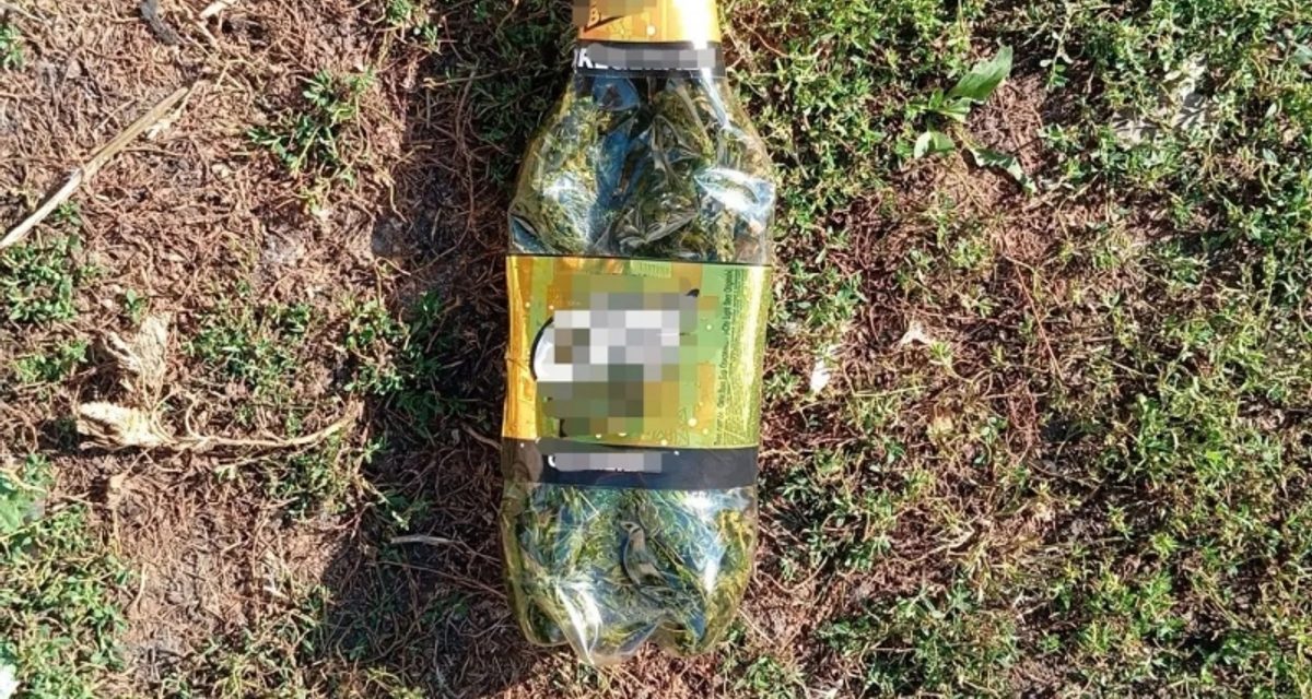 Житель Ливенского района лишился найденной на крыше наркосодержащей бутылки