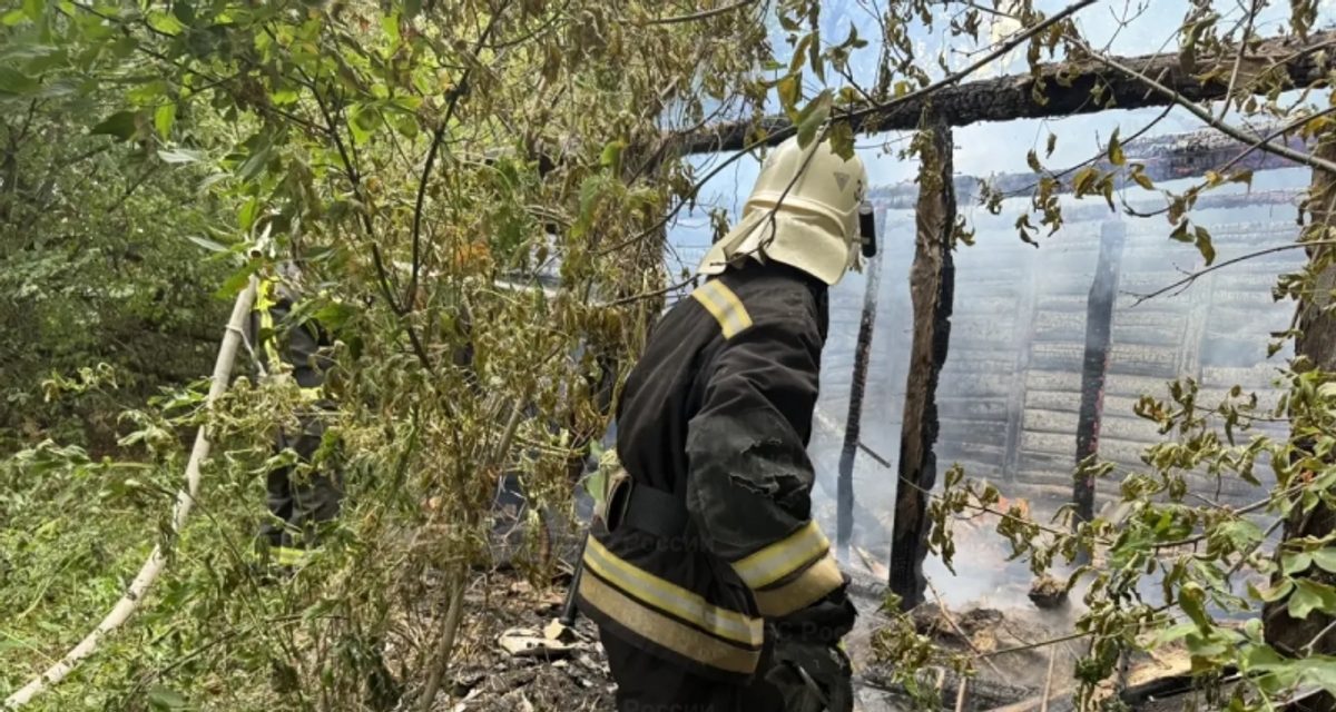 В Орле и Кромском районе за сутки изъяли два взрывоопасных предмета времён войны