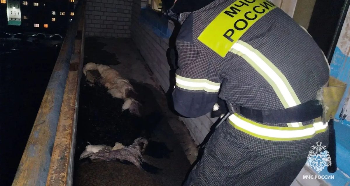 Спасатели спасли мужчину из загоревшейся квартиры на восьмом этаже и эвакуировали 10 человек