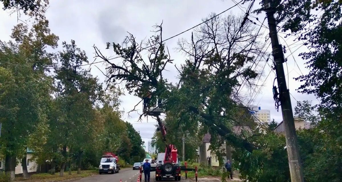 Спецавтобаза убирает последствия урагана в Орле: повалены 12 деревьев и частично перекрыты проезды