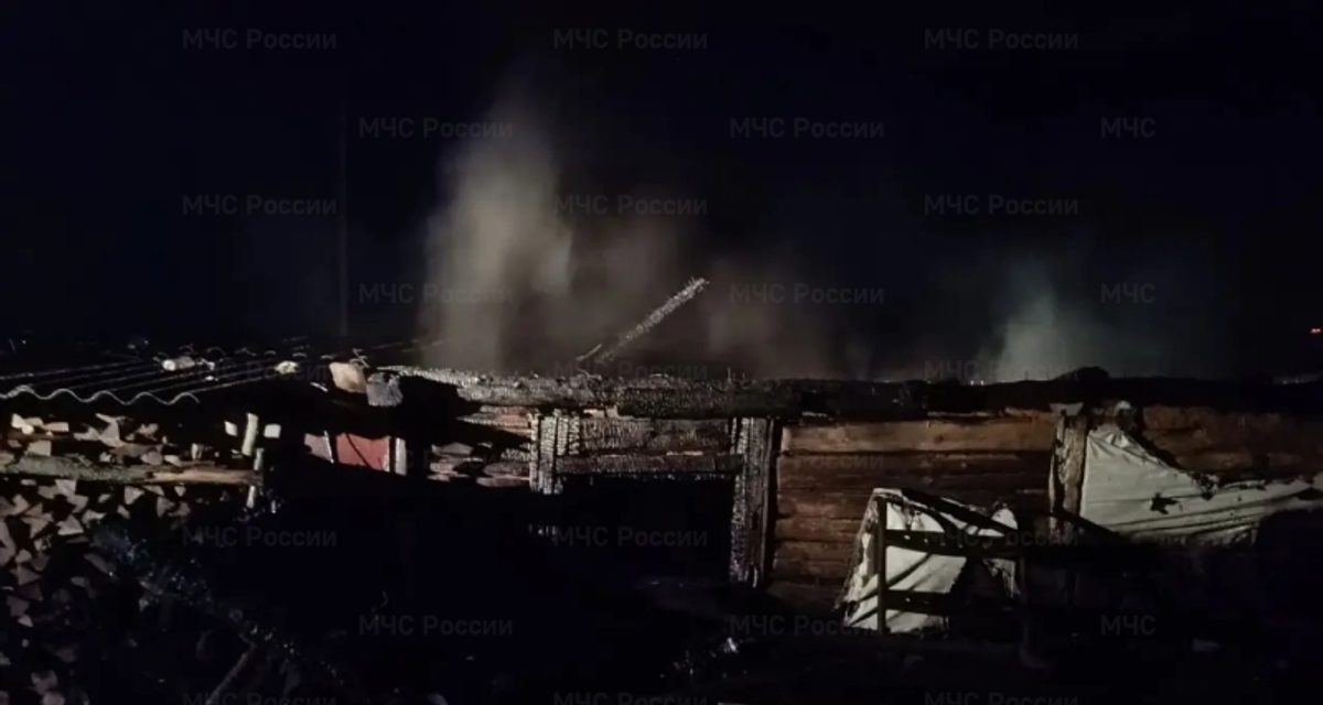 Две женщины ушли за грибами и заблудились в лесу под Орлом