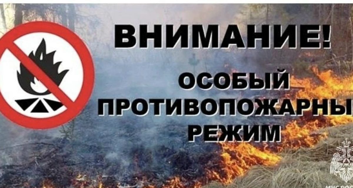 В Ливенском районе введён особый противопожарный режим